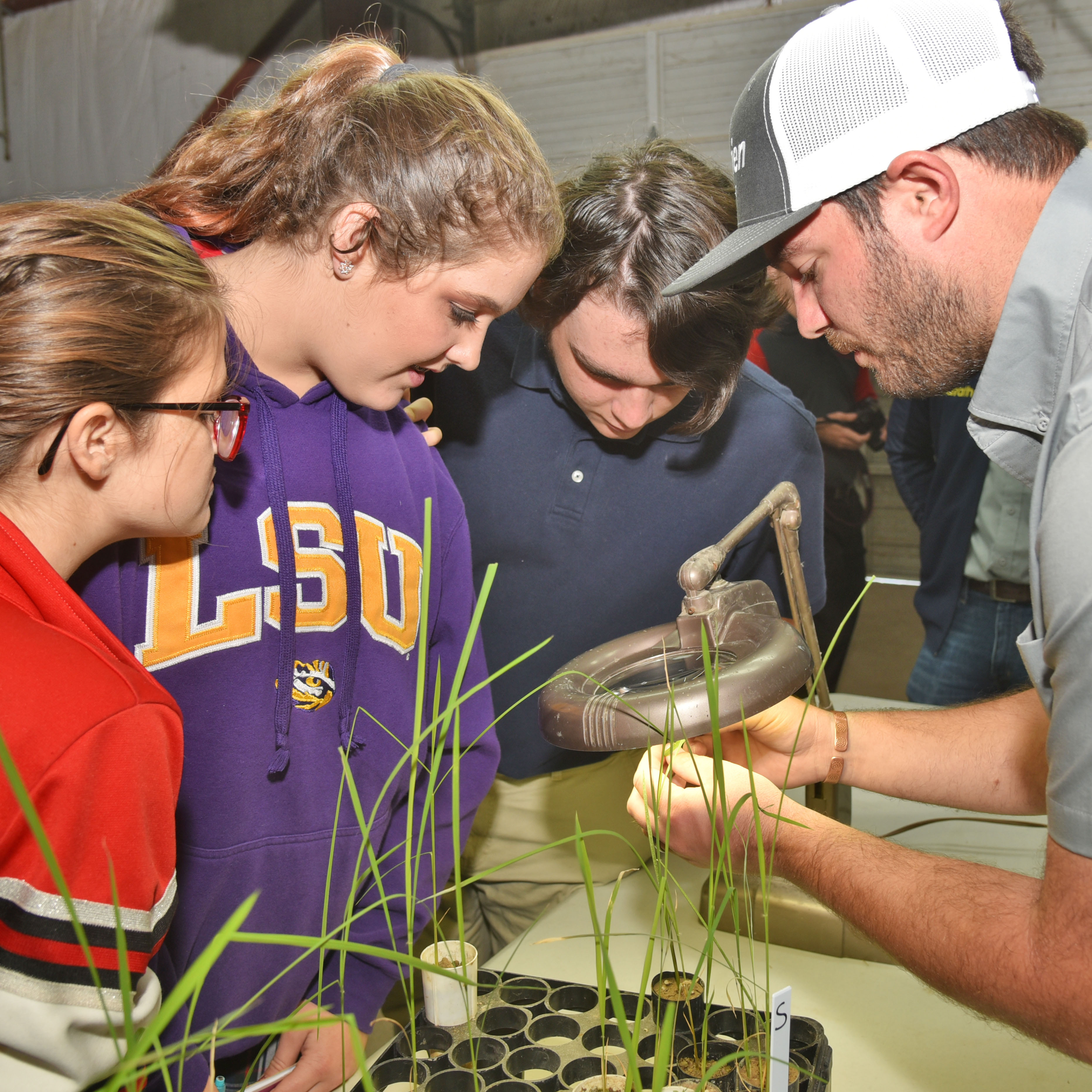 LSU AgCenter News for Fall 2019